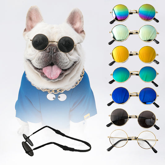 Pet Sunglasses